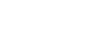 Shop4SEO logo featuring a shopping bag with magnifying glass icon and brand name, representing a leading SEO agency.