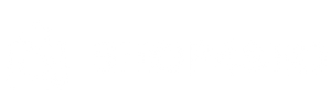Shop4SEO logo featuring a shopping bag with magnifying glass icon and brand name, representing a leading SEO agency.